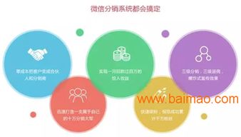 从软件开发到全方位信息化 解读企业管理系统定制与网站开发的战略价值